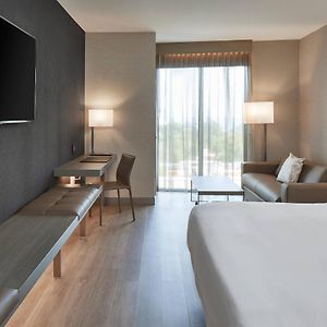 King Room Sofa Bed Hearing Accessible